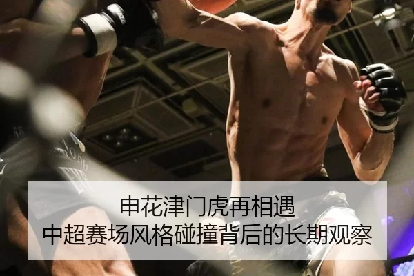 申花津门虎再相遇 中超赛场风格碰撞背后的长期观察